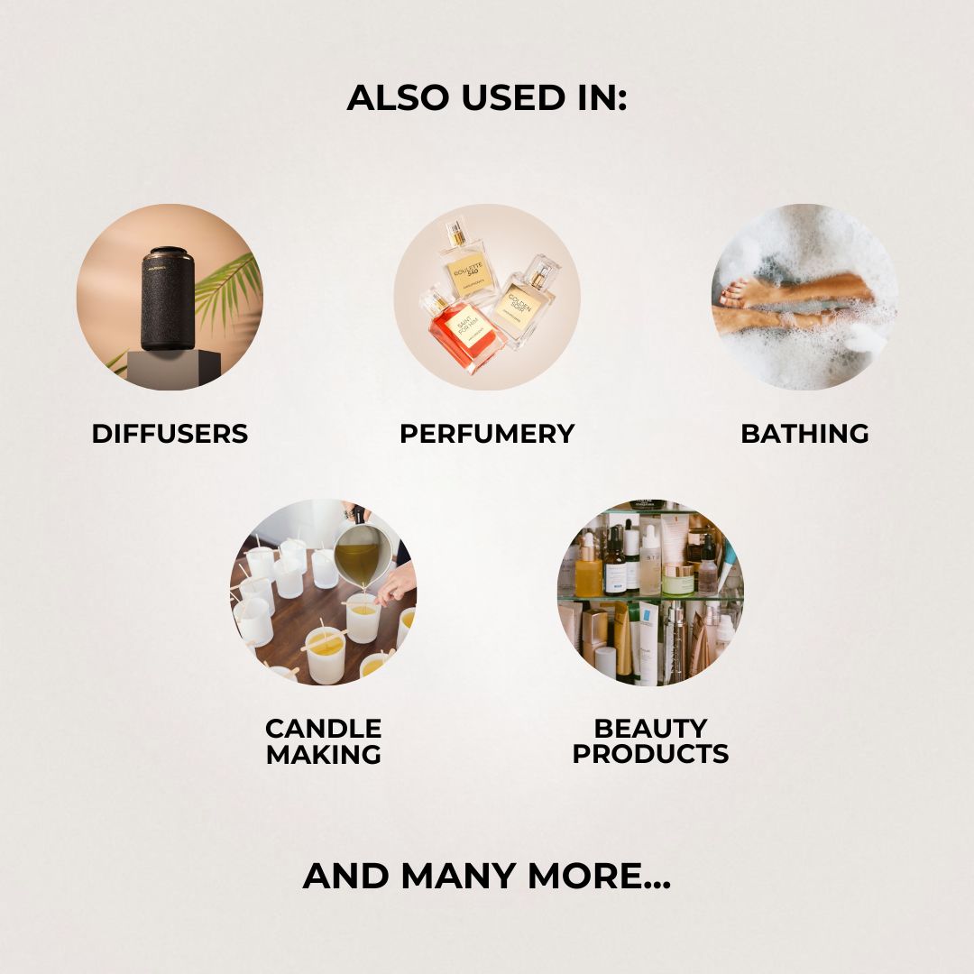 X3 50ml Oil Fragrance Bundle
