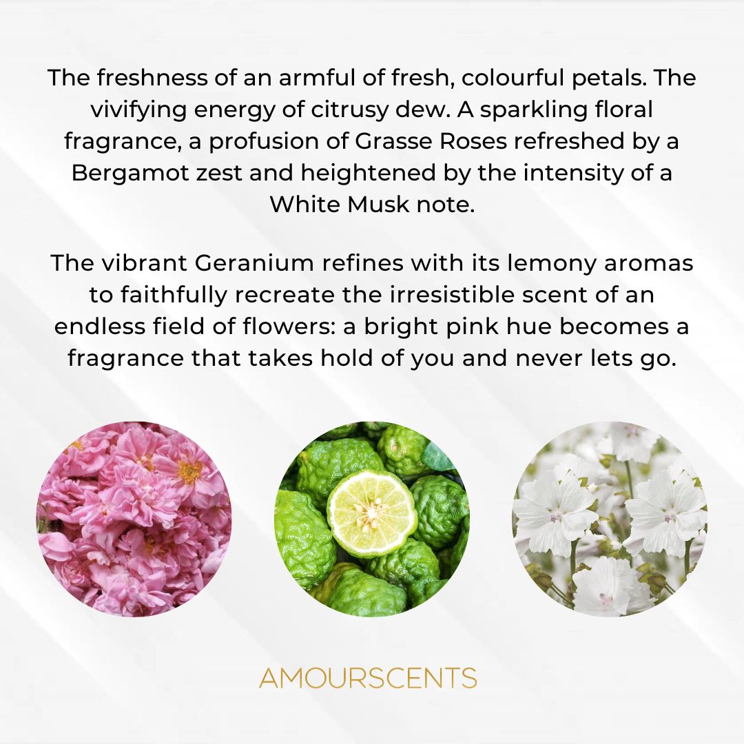 Miss Rose N Roses Oil (Inspired) - Radiant Roses