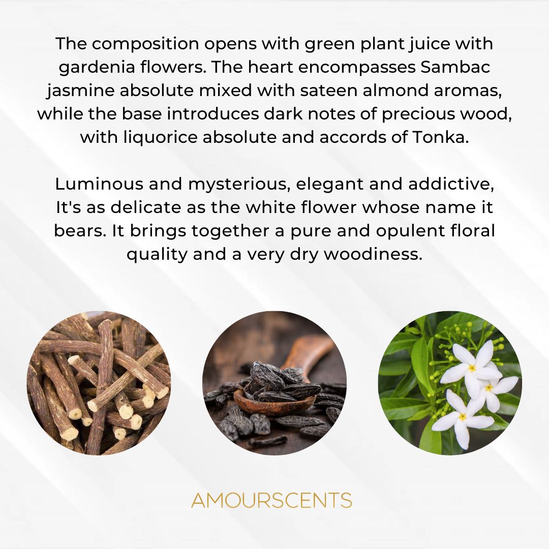 Jasmin Noir Car Freshener (Inspired) - Pure Jasmine