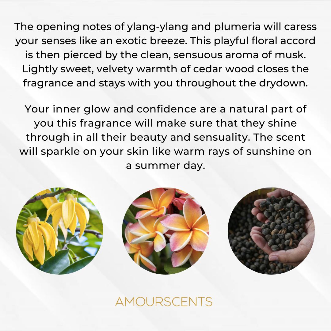 Rodriguez Ambree Car Freshener (Inspired) - Ambre