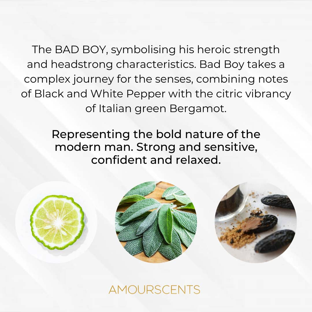 Bad Boy Car Freshener (Inspired) - Rude Boy