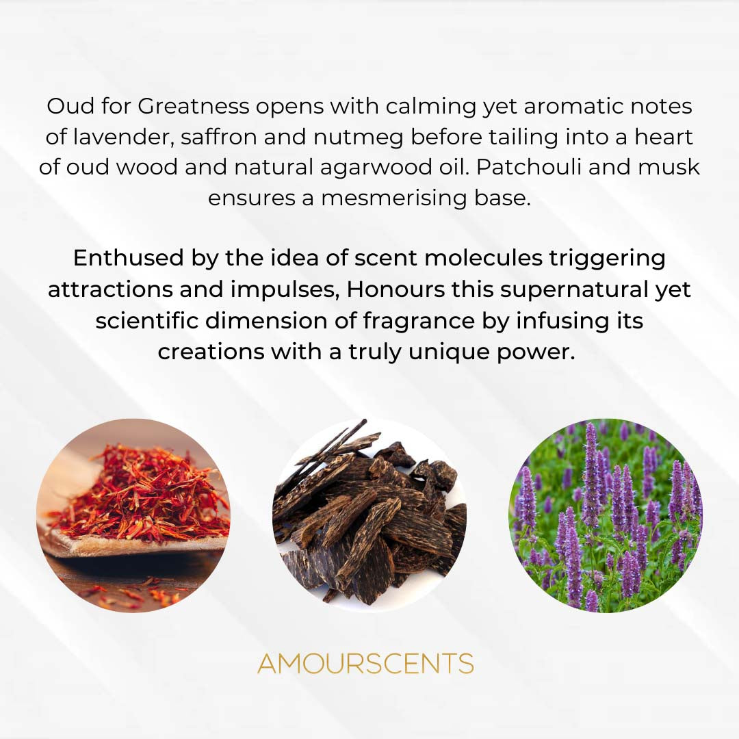 Oud For Greatness Car Freshener (Inspired) - Splendour Of Oud