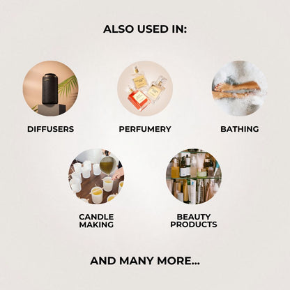 X3 30ml Oil Fragrance Bundle