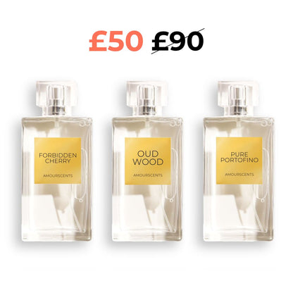 X3 100ml Perfume Bundle (Tom Ford Inspired)