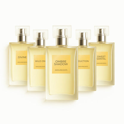 X5 100ml Perfume Bundle