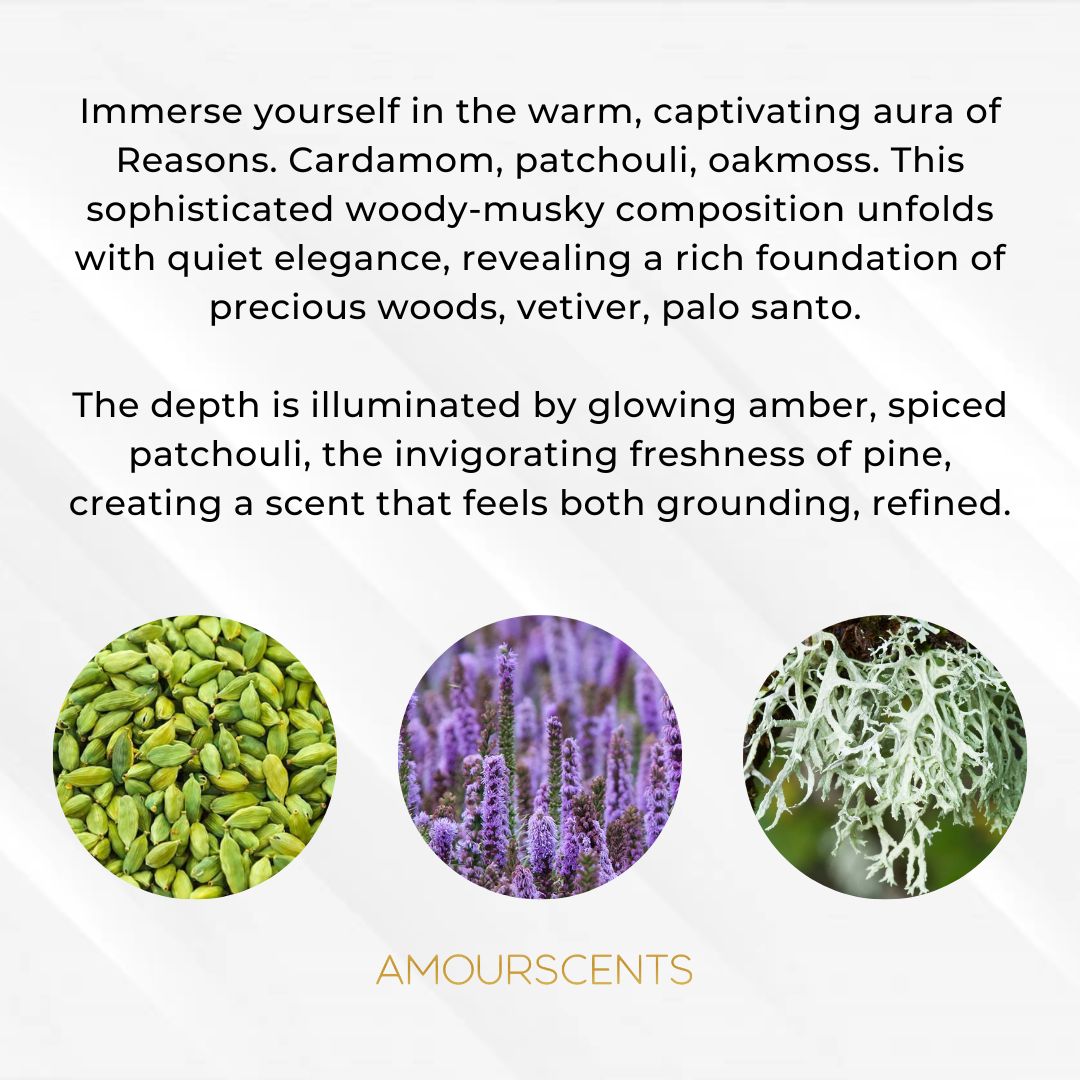 Reasons (Inspired) - Mood Swing