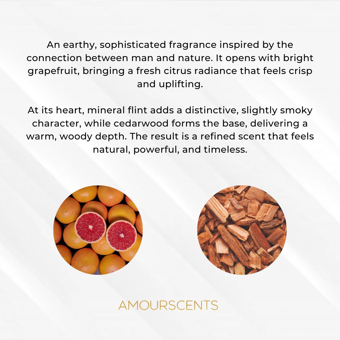 Terre D Hermes (Inspired) - Primal