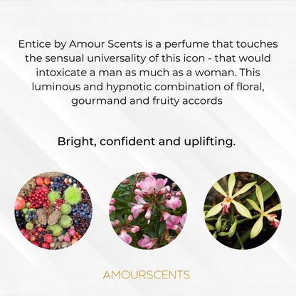 Entice Car Freshener