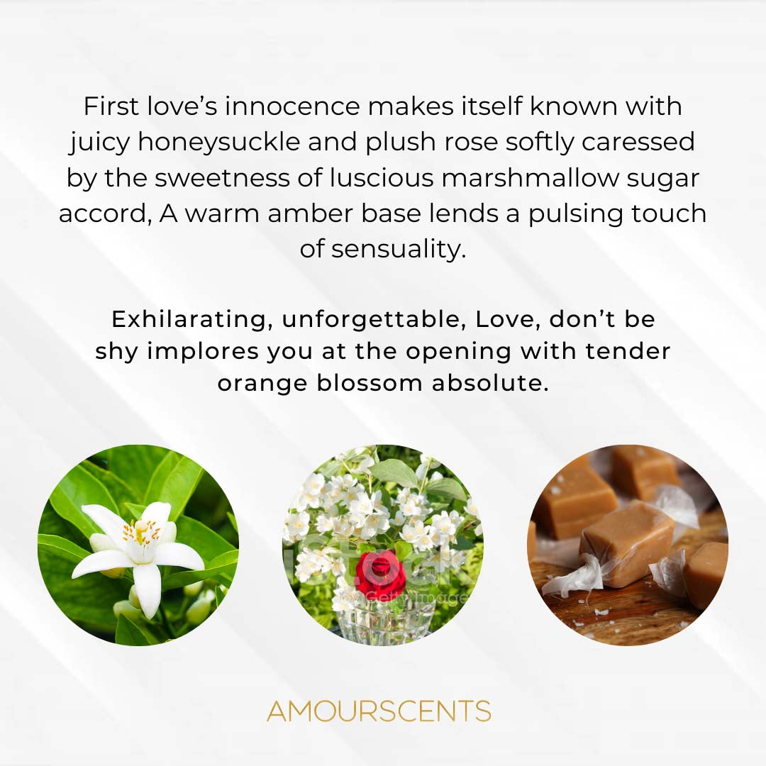 Love, Don't Be Shy Reed Diffuser (Inspired)
