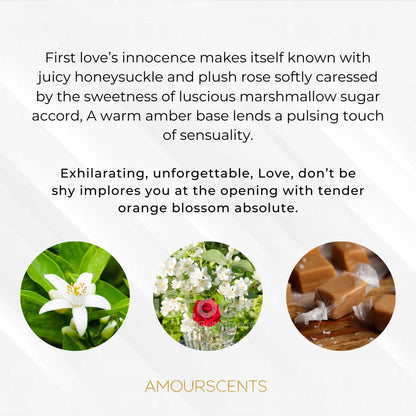 Love, Don't Be Shy Reed Diffuser (Inspired)
